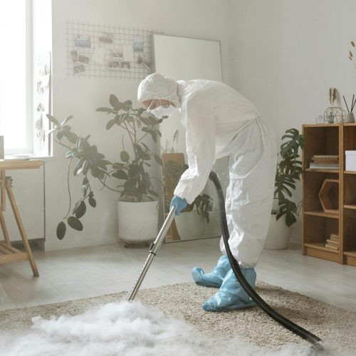 Professional carpet cleaning service by Cleanorama – deep carpet stain removal, steam cleaning, and odor elimination for a fresh and hygienic home.